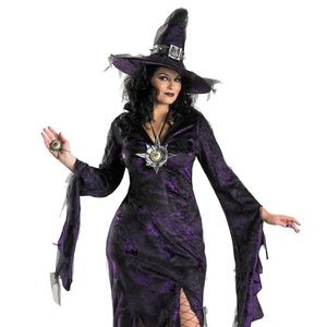 Sorceress witch plus size costume